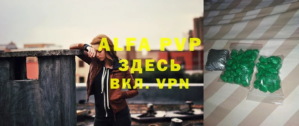spice Новозыбков