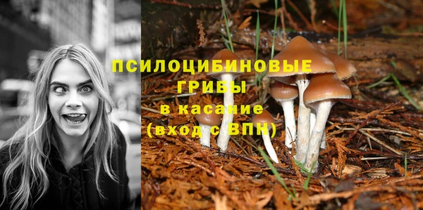 каннабис Новодвинск