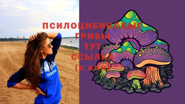ешки Новокубанск