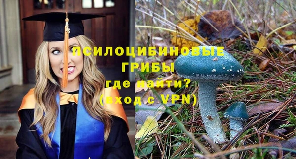 каннабис Новодвинск