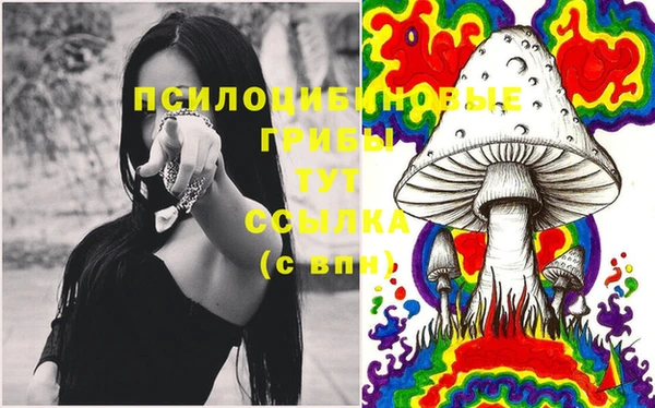 каннабис Новодвинск