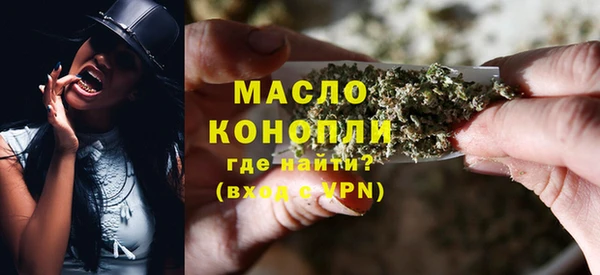 индика Семилуки