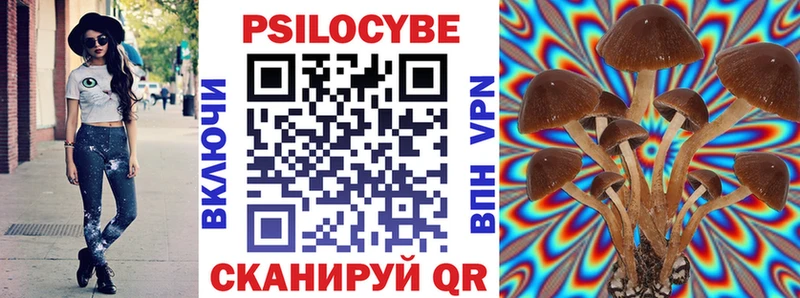 Псилоцибиновые грибы Cubensis  Калязин 